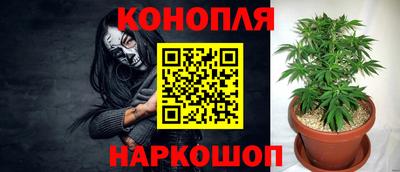 ПСИЛОЦИБИНОВЫЕ ГРИБЫ Балахна