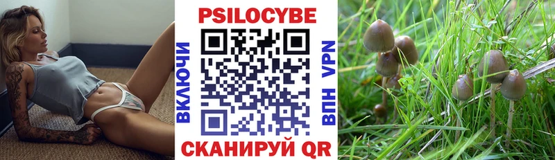 Галлюциногенные грибы Psilocybe  магазин продажи наркотиков  Выкса 